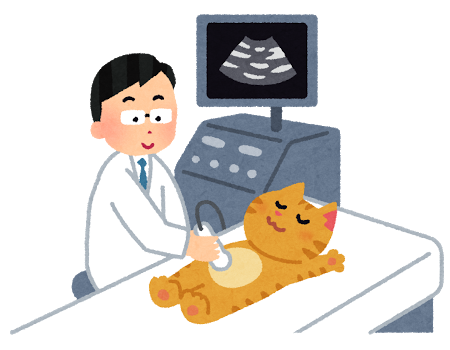 半日ペットドック 東京八王子駅 犬や猫の避妊手術なら とちのき動物病院