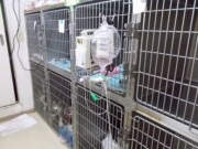 第一入院室