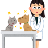 愛玩動物看護師